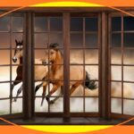 Window decals Coquitlam