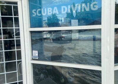 Window decals
