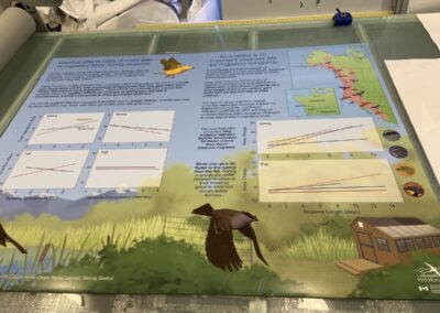 alupanel sign board